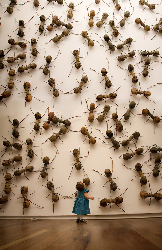 Floor full of ants crawling as a wall in a museum exhibit.
