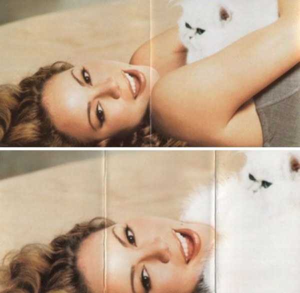 Funny censored album cover for the middle east in which a white fluffy cat is made extremely fluffy to cover up any exposed skin.