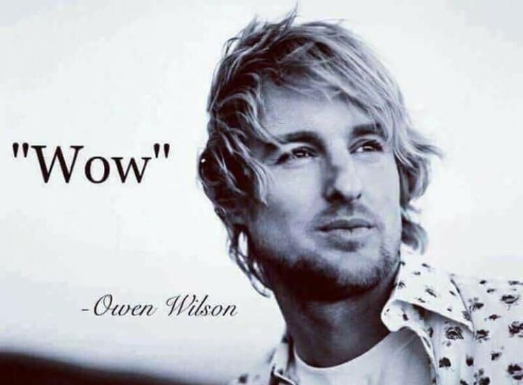 random pic owen wilson wow - "Wow" Owen Wilson