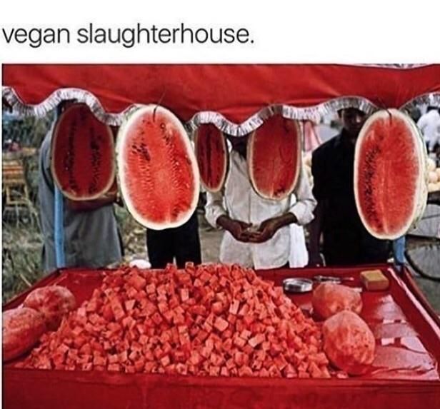 random pic vegan slaughterhouse - vegan slaughterhouse.