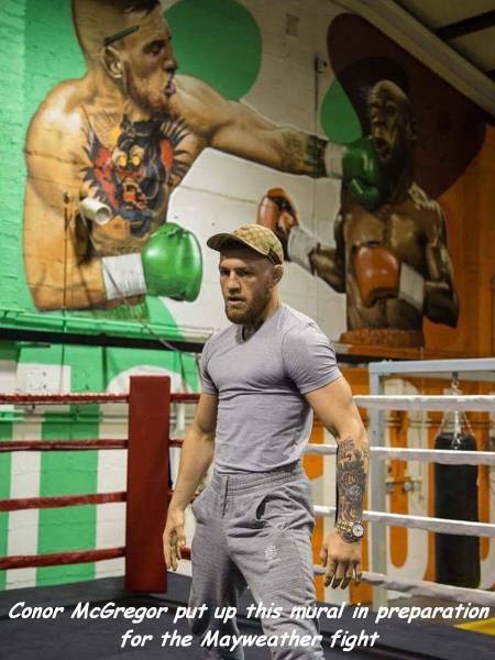 conor mcgregor mayweather mural - Conor McGregor put up this mural in preparation for the Mayweather fight