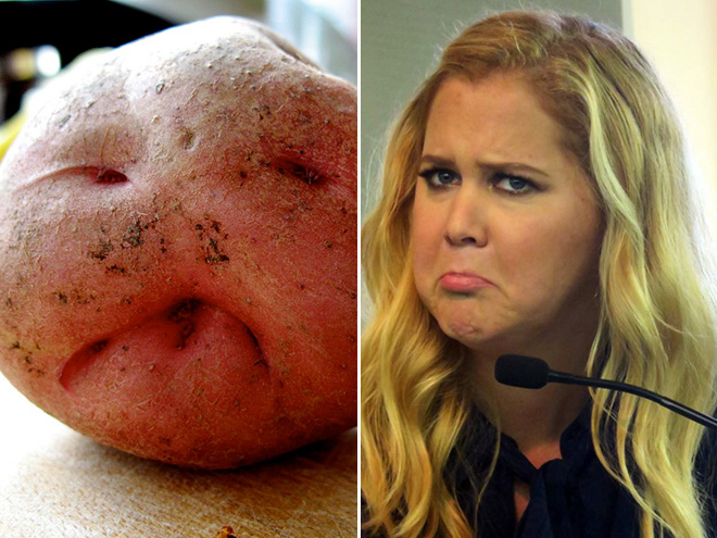 Observation Test- Potato or Amy Schumer