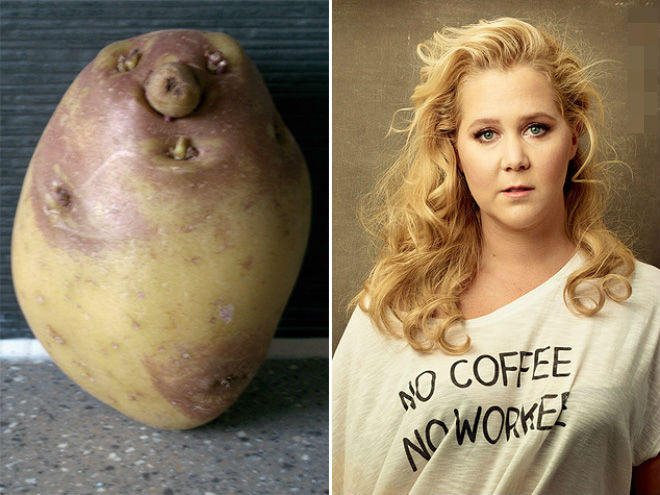 Observation Test- Potato or Amy Schumer
