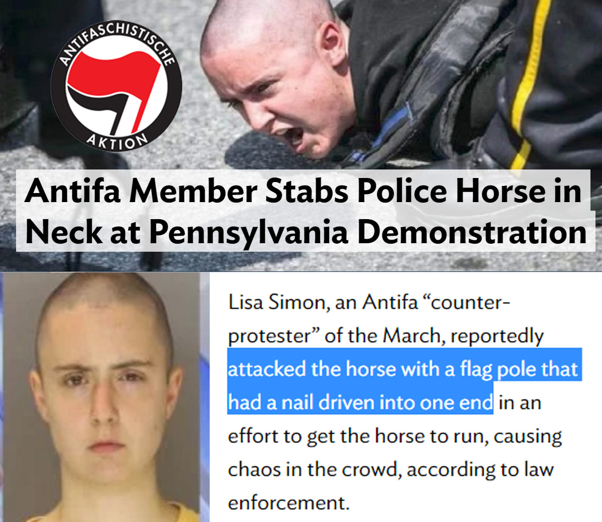 antifa stabs police horse