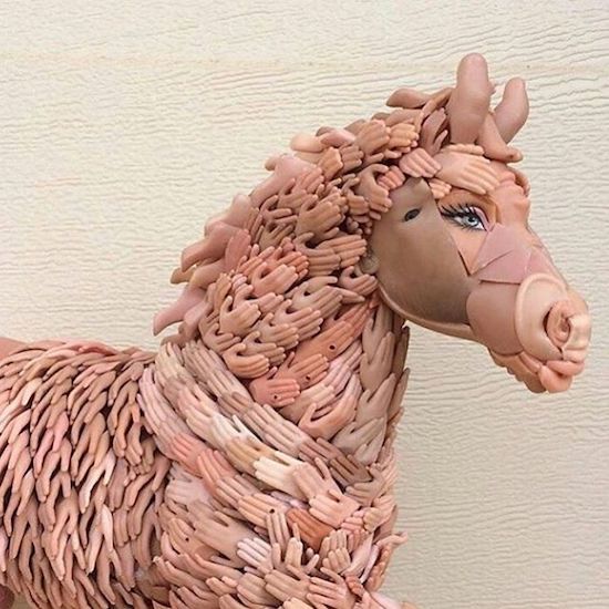 cursed horse