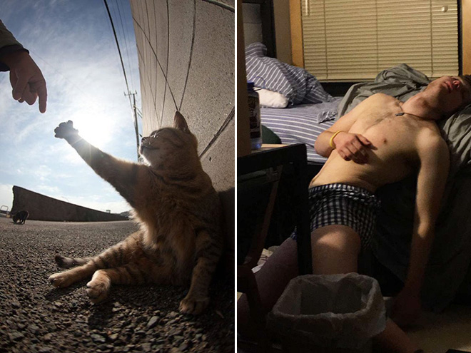 19 Photos That Accidentally Look Like Renaissance Paintings