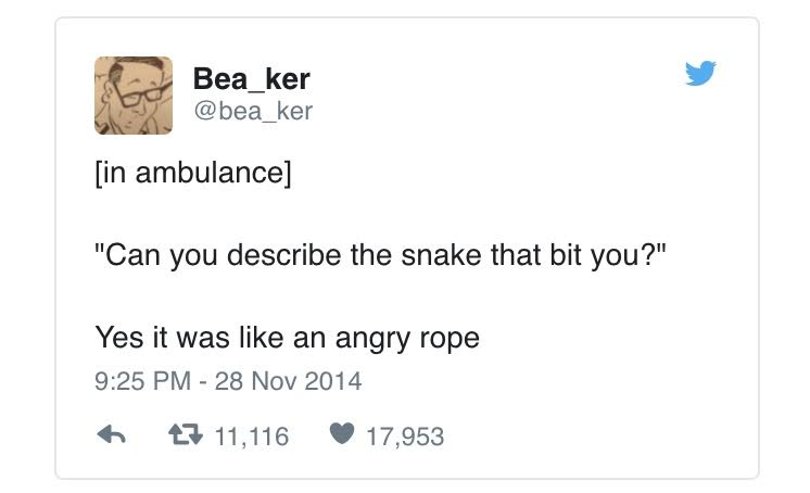 angle - Bea_ker in ambulance "Can you describe the snake that bit you?" Yes it was an angry rope 23 11,116 17,953