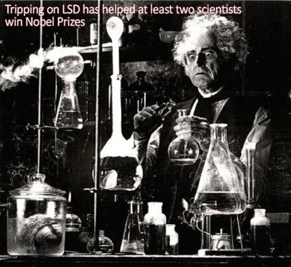 mad scientist in lab - Tripping on Lsd has helped at least two scientists win Nobel Prizes Ji L