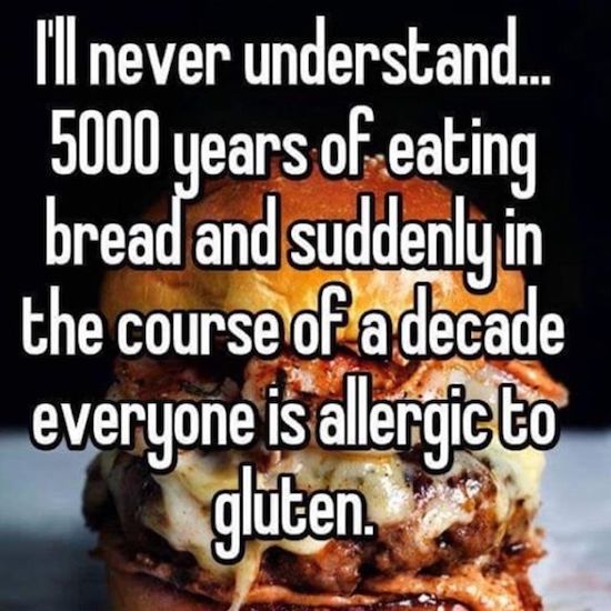 photo caption - I'll never understand. 5000 years of eating bread and suddenly in the course of a decade everyone is allergic to gluten.