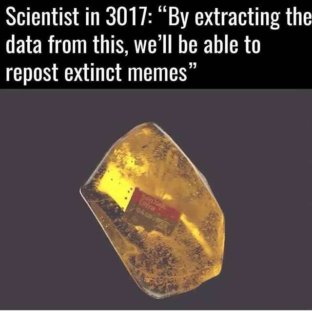 fossil memes - Scientist in 3017 By extracting the data from this, we'll be able to repost extinct memes" SanDis 64GB.