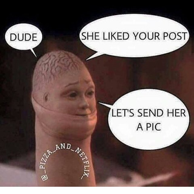Penis brain telling you to send dic pics after she likes your post.