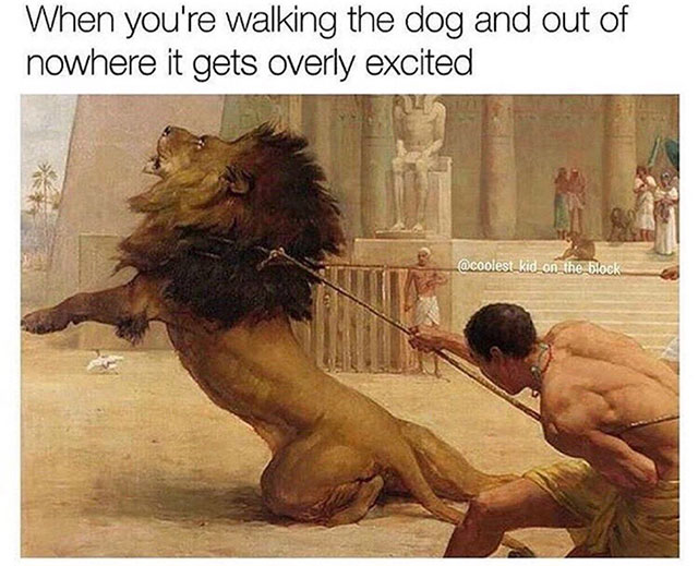 classical painting of lion being tamed and captioned as when you are walking the dog and out of nowhere he gets overly excited.