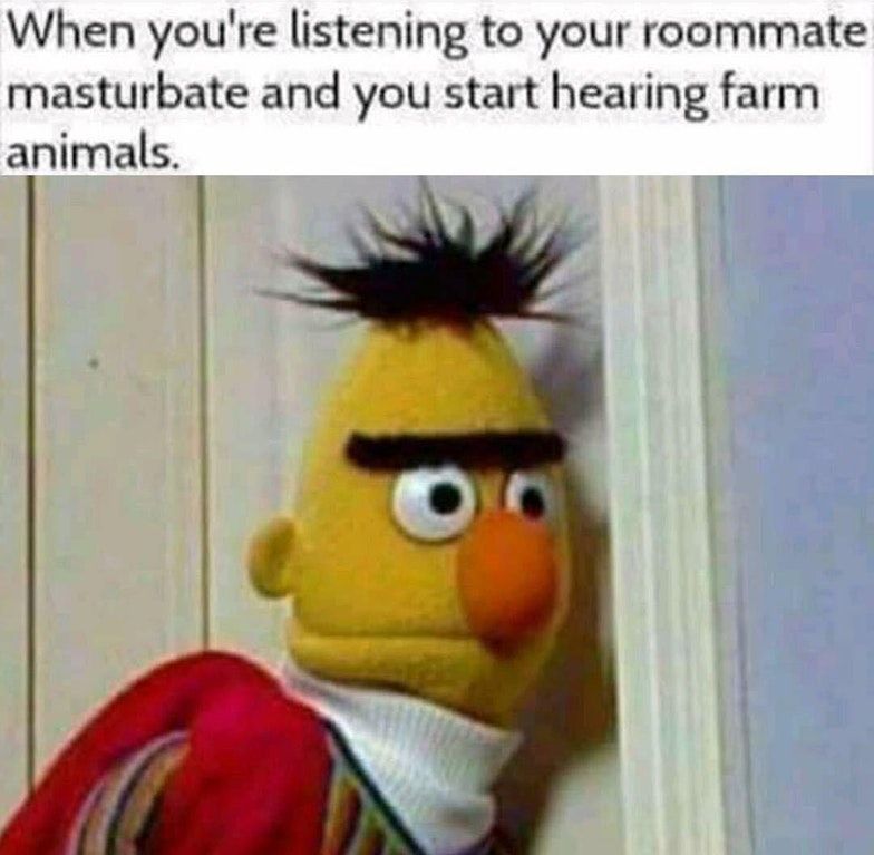 ernie and bert memes - When you're listening to your roommate masturbate and you start hearing farm animals.