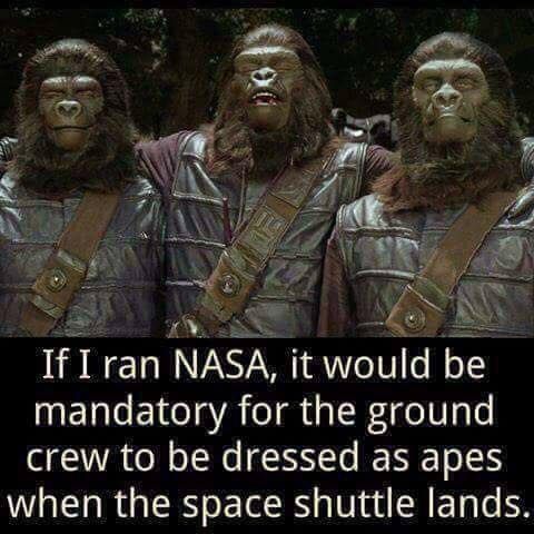 if i ran nasa it would be mandatory - If I ran Nasa, it would be mandatory for the ground crew to be dressed as apes when the space shuttle lands.