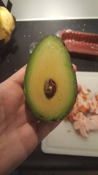 avocado