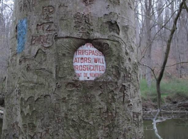 funny trespassing sign - Pr Trpspass Ators Will Prosecuted Sunt De Nemou