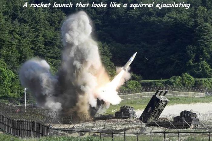 missile launch squirrel - A rocket launch that looks a squirrel ejaculating