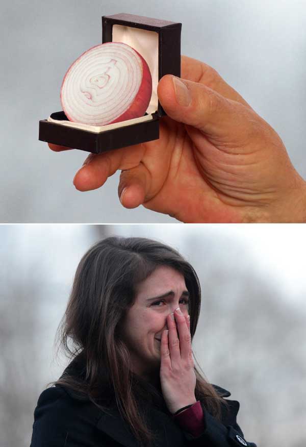 onion proposal meme