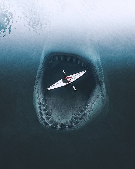 megalodon shark