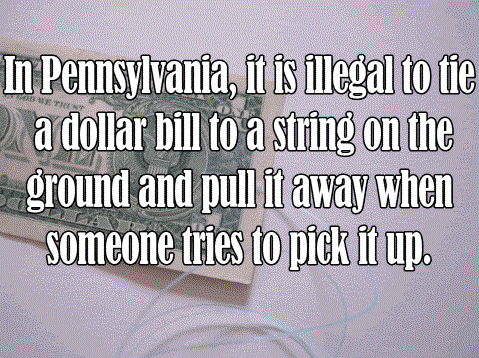 tayyib - In Pennsylvania, it is illegal to tie a dollar bill to a string on the ground and pull it away when someone tries to pick it up.