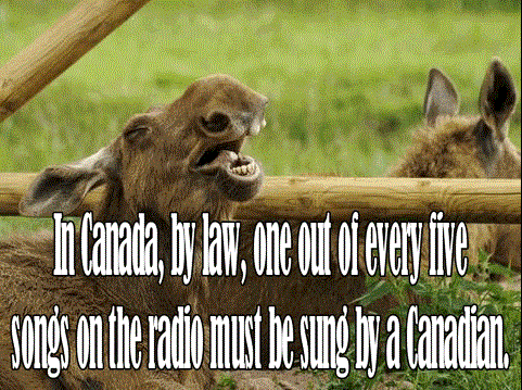moose singing - In Canada, by law, one out of every tive songs on the radio must be sung by a Canadian.