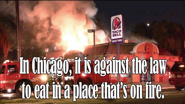 taco bell restaurant on fire - Taco Bell Drive Thru O 0 In Chicago, it is against the law to eat in a place that's on fire.