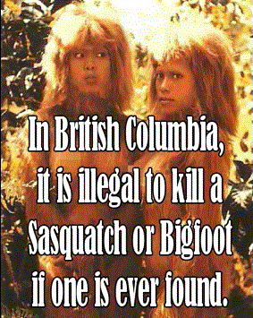 pat suzuki skullduggery - In British Columbia, it is illegal to kill a Sasquatch or Bigfoot if one is ever found.