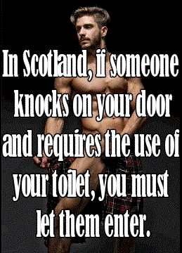 noche de la nostalgia 2010 - In Scotland, if someone knocks on your door and requires the use of your toilet, you must let them enter.