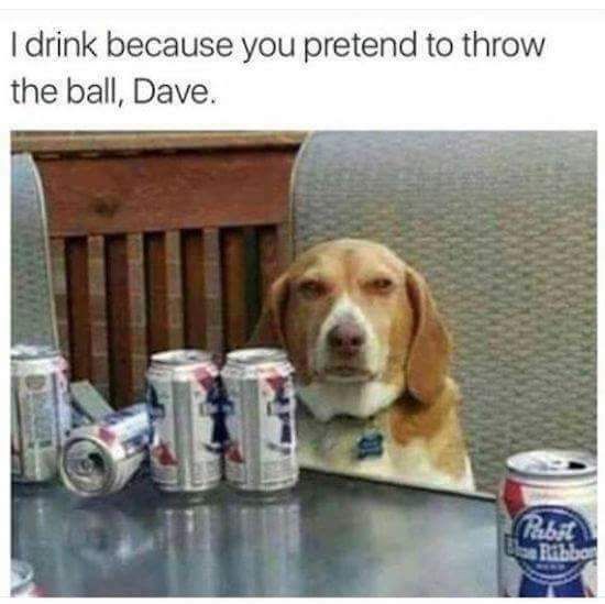 drink because you pretend to throw - I drink because you pretend to throw the ball, Dave.