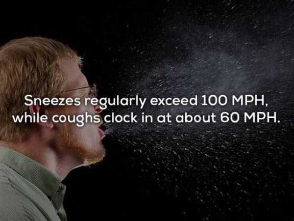 person sneezing - Sneezes regularly exceed 100 Mph, while coughs clock in at about 60 Mph.