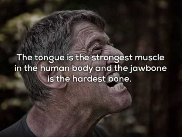 man grinding teeth - The tongue is the strongest muscle in the human body and the jawbone is the hardest bone.