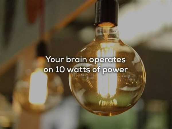Your brain operates on 10 watts of power