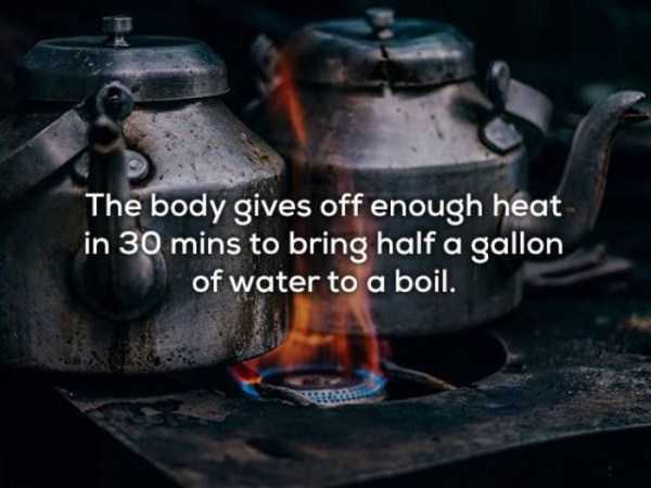The body gives off enough heat in 30 mins to bring half a gallon of water to a boil.
