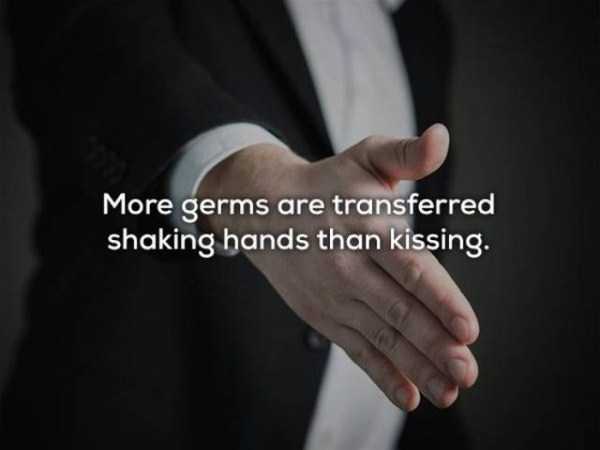 More germs are transferred shaking hands than kissing.