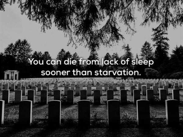 You can die from lack of sleep sooner than starvation.