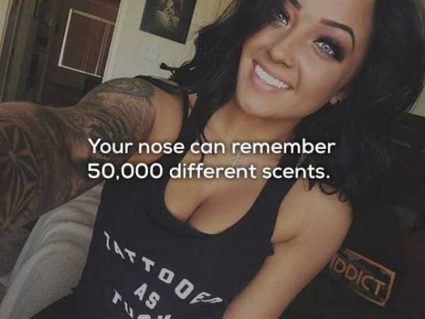 black hair - Your nose can remember 50,000 different scents. Too Ddict As