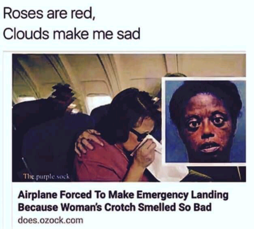 roses are red clouds make me sad - Roses are red, Clouds make me sad The purple sock Airplane Forced To Make Emergency Landing Because Woman's Crotch Smelled So Bad does.ozock.com