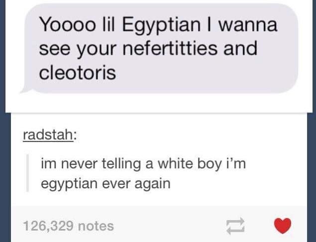 quotes - Yoooo lil Egyptian I wanna see your nefertitties and cleotoris radstah im never telling a white boy i'm egyptian ever again 126,329 notes