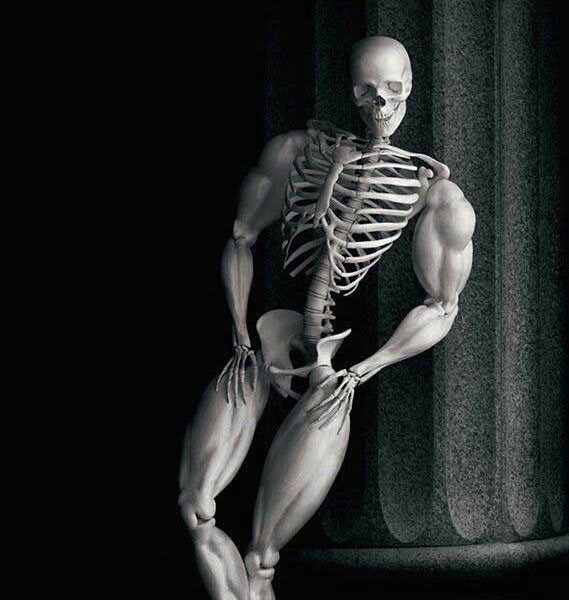 swole skeleton