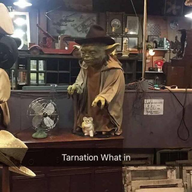 tarnation meme star wars - Pdown Tarnation What in