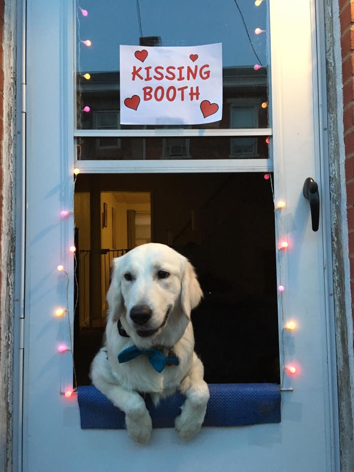 Dog - Kissing Booth