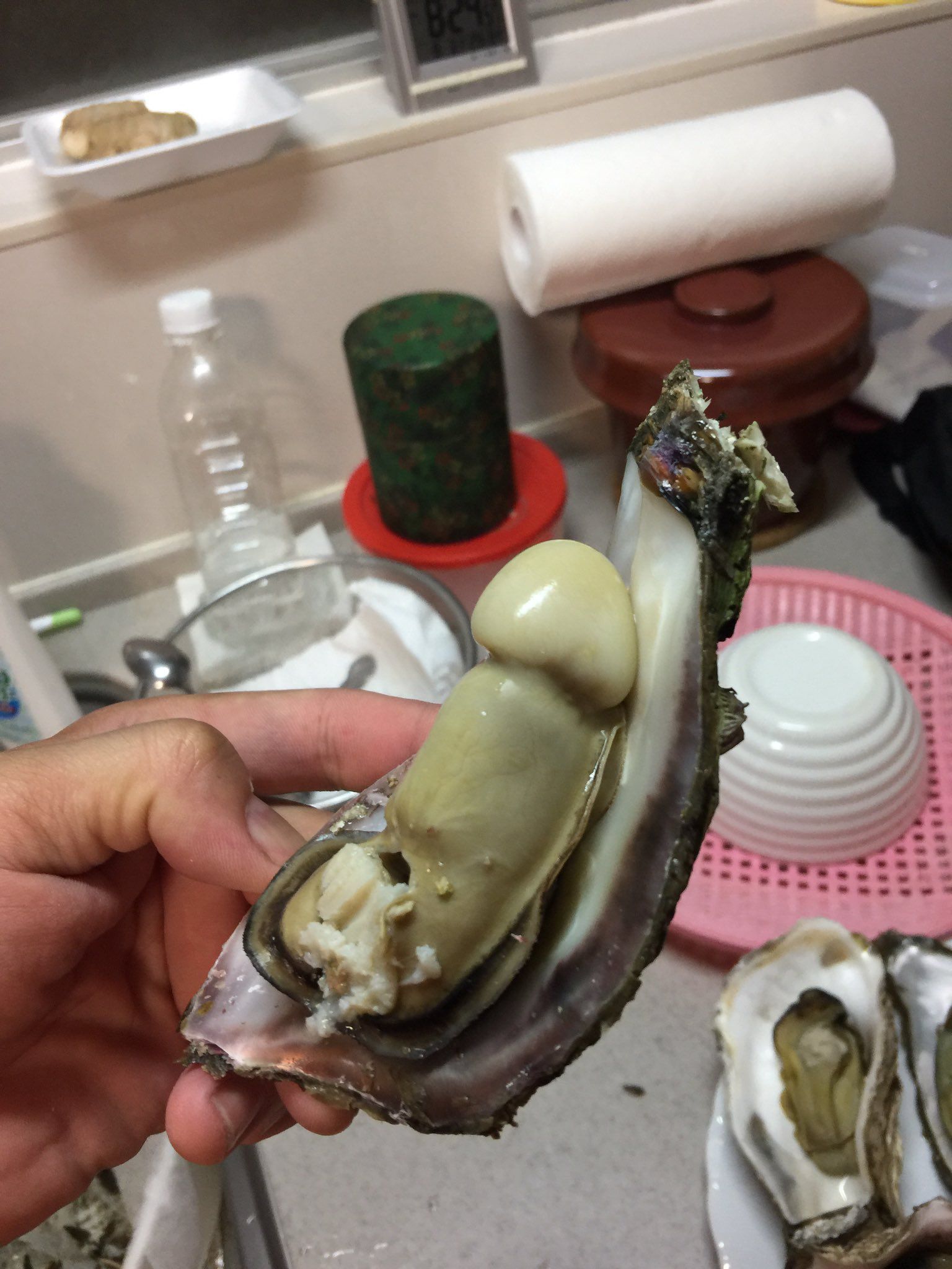 oyster meme