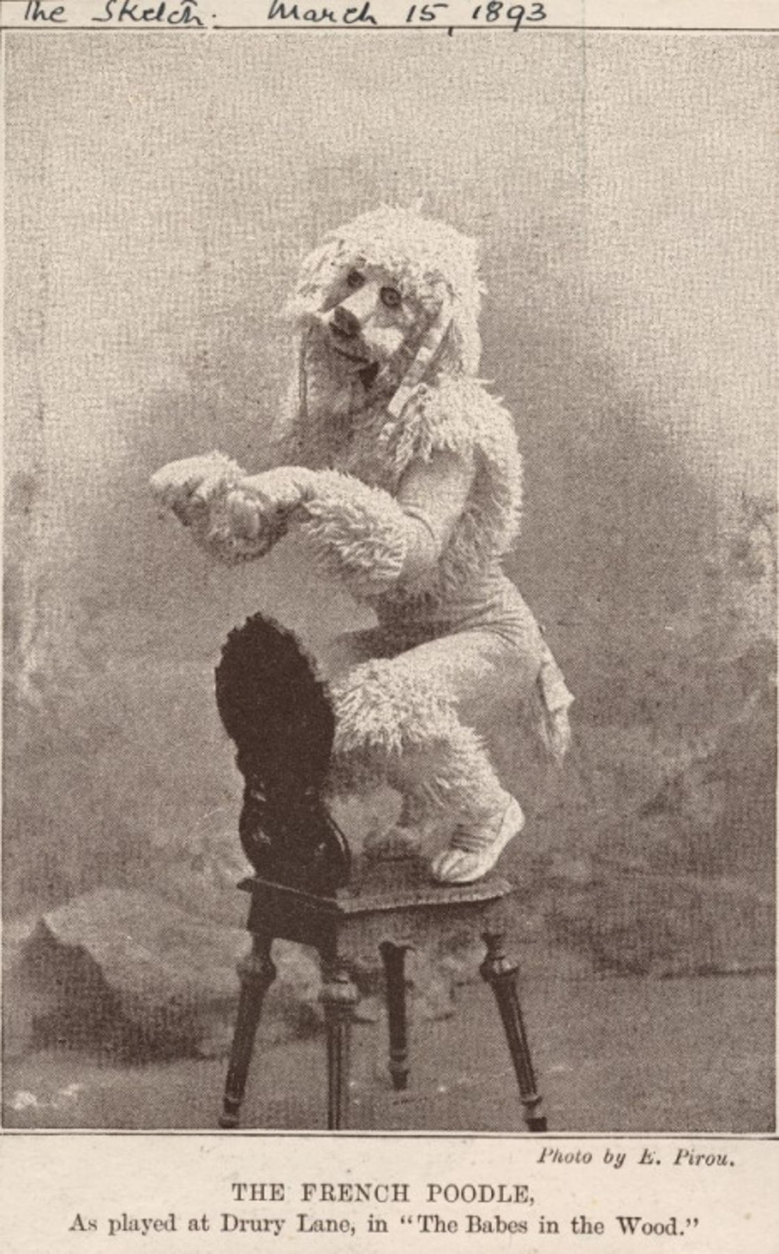 odd old - The Skelch Photo by E. Pirou. The French Poodle, As played at Drury Lane, in "The Babes in the Wood."