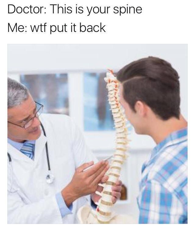 doctor this is your spine meme - Doctor This is your spine Me wtf put it back