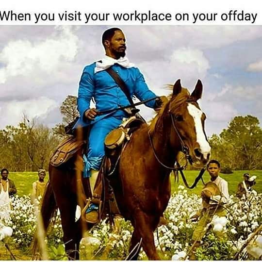 django horse - When you visit your workplace on your offday