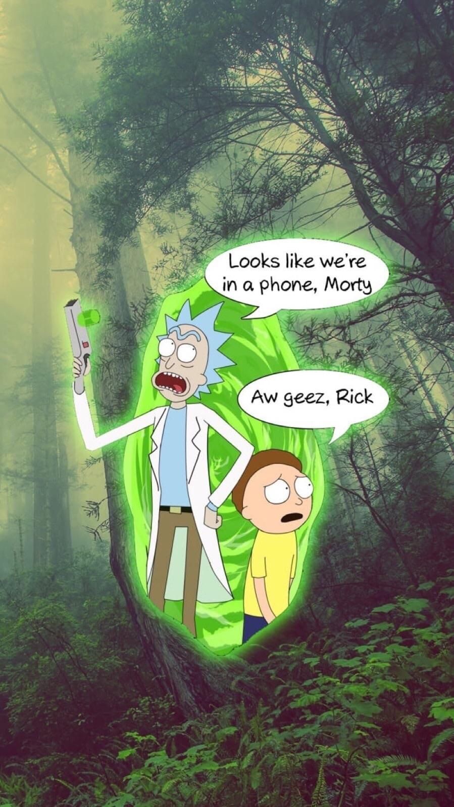 rick and morty phone - Looks we're in a phone, Morty Aw geez, Rick