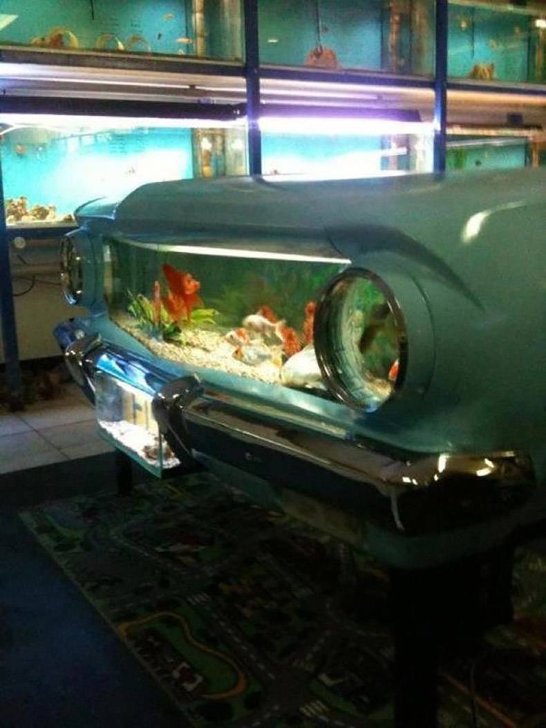 car fish tank