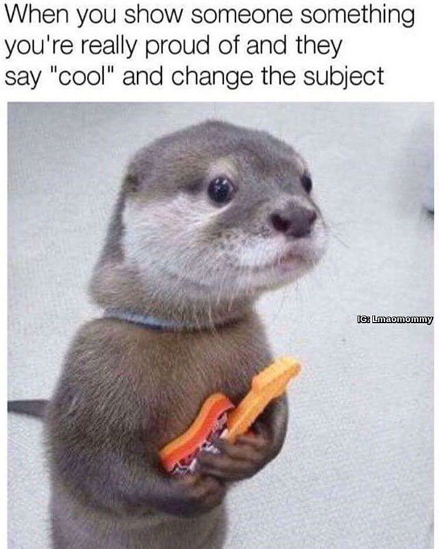 funny animal memes - When you show someone something you're really proud of and they say "cool" and change the subject Ig Lmaomommy