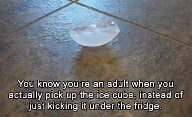 pick up ice funny - You know you're an adult when you actually pick up the ice cube, instead of just kicking it under the fridge.