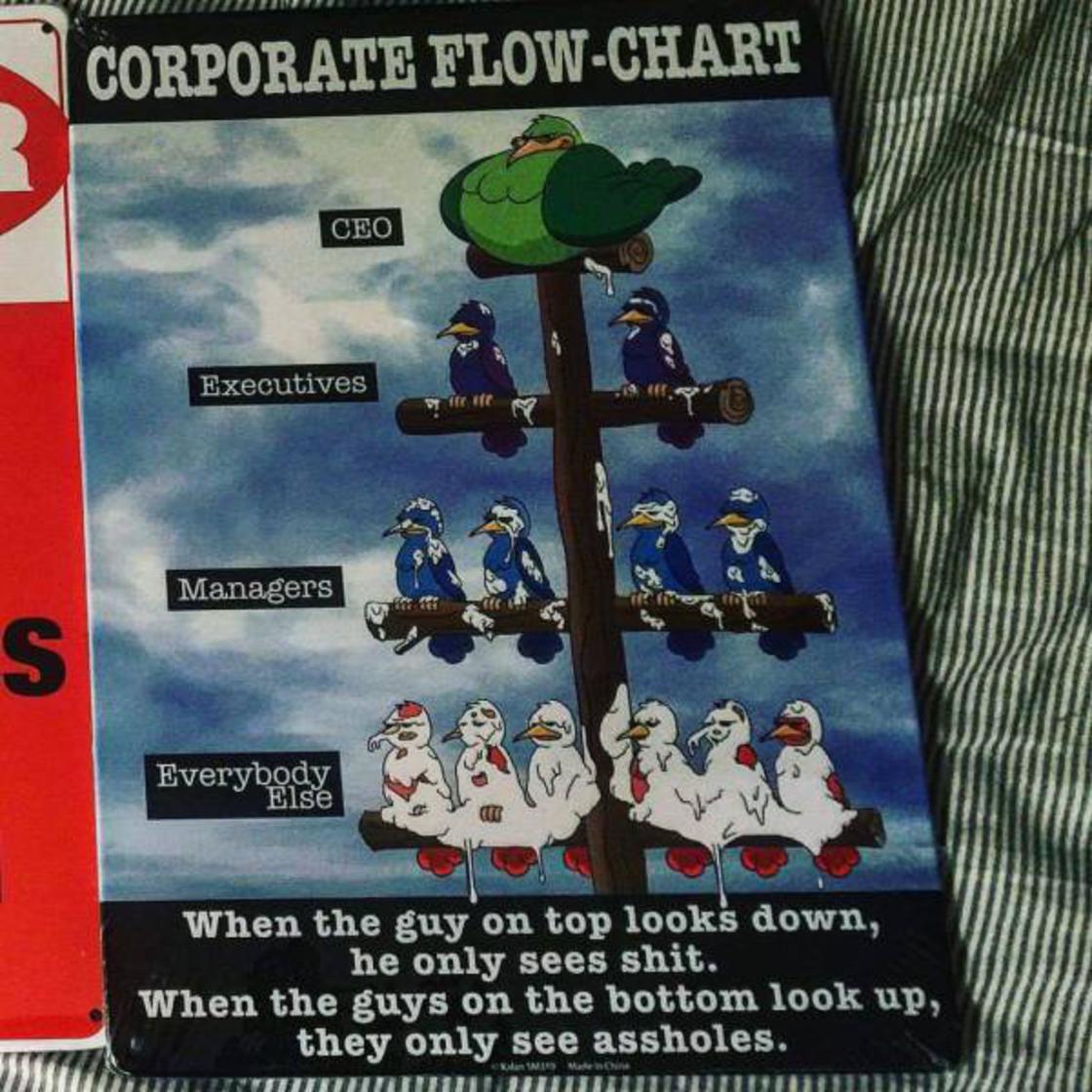 management bird shit - Corporate FlowChart Ceo Executives Managers Everybodde Wt When the guy on top looks down, he only sees shit. When the guys on the bottom look up, they only see assholes. dan Mateo numNMITINDO